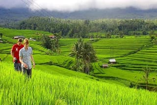 DISCOVER The Beauty of Bali with Private Car Tours