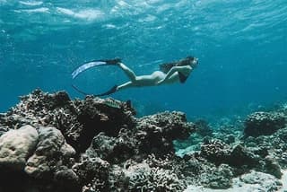 All Inclusive Snorkeling at Blue Lagoon with Lunch