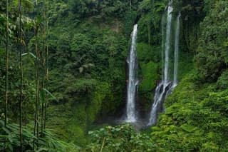 Sekumpul Bali Waterfall Tour