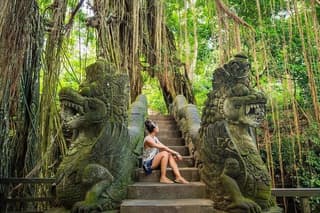 Ubud Village, Rice Terrace, Kintamani Volcano, and Waterfall Tour