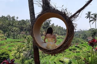 Best Of Ubud All Inclusive Tour, Waterfall,Rice Terrace and Temple