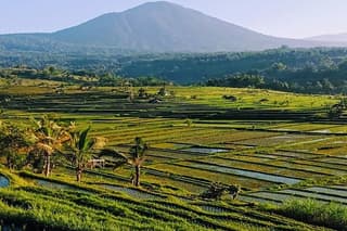 Magical Full Day Trip Jatiluwih Rice Terrace And Beratan Temple