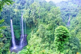 Private Tour The Magical Sekumpul Waterfall in The North of Bali
