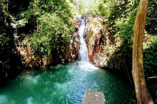 Private Tour The Aling Aling Waterfall Bali is Truly a Paradise