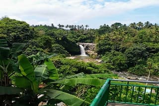 Private Tours Tegenungan Waterfall Ubud Palace & Market