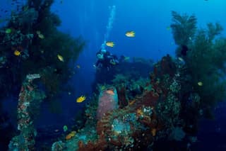 Bali: Tulamben Scuba Diving at USS Liberty Shipwreck