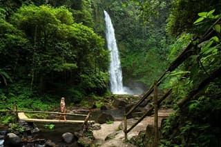 Private Tour Terrific Nungnung Waterfall And Wanagiri Hidden Hill