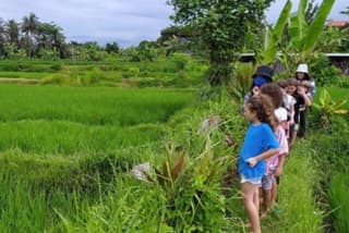 THE LOCAL LIVE STROLL By jambangan bali