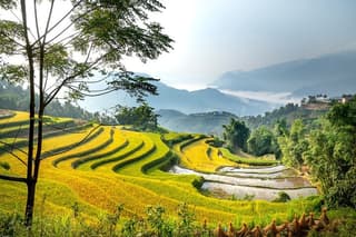 UNESCO Heritage TOURS