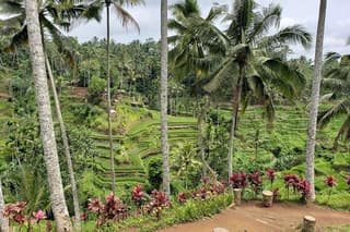 Best Bali Ubud Full Day All-Inclusive Private Tour