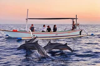 Private Full-Day Lovina Dolphin Watching and Snorkeling Boat Tour