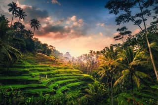 Ubud waterfall, rice terraces, and swing explore