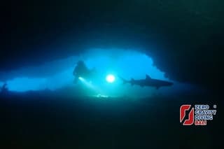 Shark Cave Diving Tangked and Biaha 2 dives for certified divers