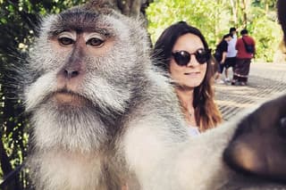 Ubud Private Tour Driver in One Day