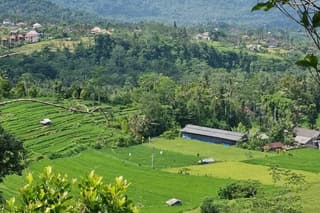 Bali One Day Tour : Rice Terrace, Monkey Forest and Waterfall