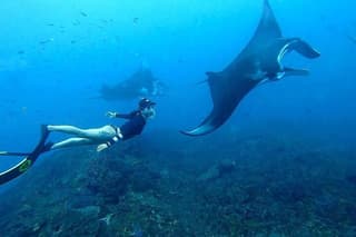 Nusa Penida Sharing Snorkeling with West Tour