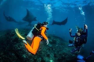 Nusa Penida Diving