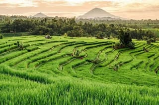 Bali 3 Days Private Tour-Bali Highlight