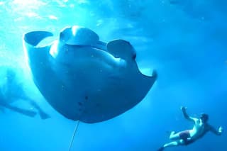 Snorkeling in Nusa Penida - Manta Bay, Wall Point and Gamat Bay