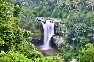 Kintamani Volcano and Ubud Waterfall Full-Day Private Tour