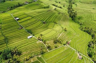 UNESCO Rice Terrace Jatiluwih with Tanah Lot Sunset Tour