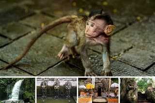 Best of Bali Ubud Tour and Surrounding