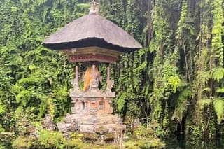 Ubud Tour - Ubud Highlight Culture, Tradition, Nature