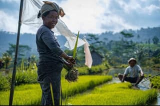 Sidemen Trekking: A Walk from a Different Perspective
