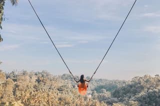 Ubud Monkey Forest, Rice Terrace and Waterfall - Private Tour