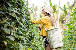 Real Bali Farm Cooking and Traditional Market Adventure in Ubud