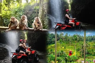 Bali ATV Ride waterfall track and Ubud Tour
