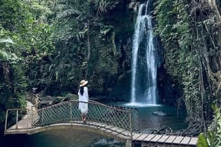 Private Guided Tour: The Best Of Ubud With Jungle Swing