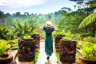 Bali: Ubud & Rice Fields Exploration Half Day Private Guided Tour