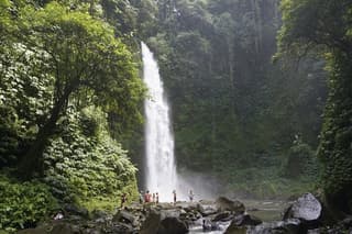 Bali Private Tour Nung-Nung Waterfall and Tanah Lot Temple