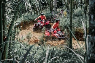 Ubud ATV Quad Bike with Gorilla Cave and Rice Terrace