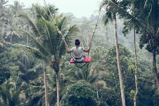Ubud Swing and Ubud Village Tour