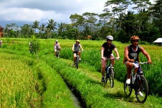 Kintamani Downhill Cycling Adventure