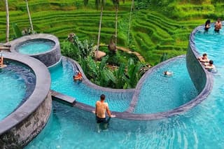Ubud Monkey Forest & Cretya Bali Tour