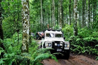 Bali Land Rover Safari & Jungle / Volcano
