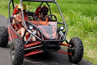 Ubud & Buggy Adventure Tour: Experience Bali's Natural Beauty