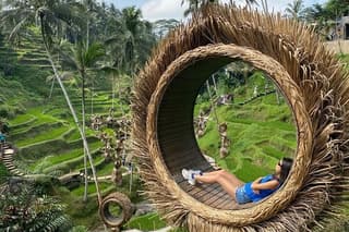 Ubud private Tour : Waterfalls - Monkey Forest and Rice Terrace
