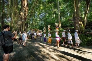 Explore Ubud Rice Terraces, Waterfalls & Balinese Culture