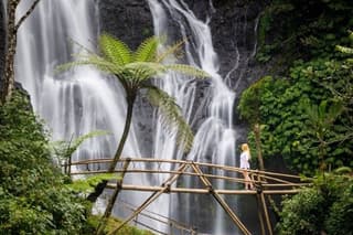 North Bali : Sekumpul and Banyumala Waterfall & Rice Terraces