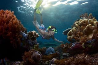 Bali Blue Lagoon Snorkeling and Waterfall Tour