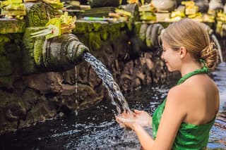 All-Inclusive Ubud's Wonder Day Tour