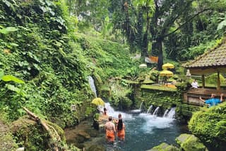 Healing and Adventure Trip in Ubud All Inclusive Journey