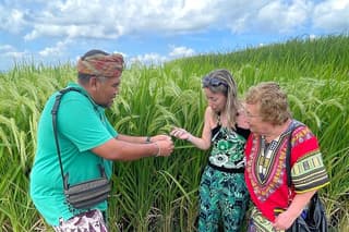 North Bali Private Trip UNESCO Site Lakes Temple and Waterfall