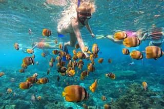 Explore 4 iconic snorkeling spots of Manta Bay in Nusa Penida
