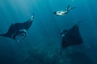 Start at Nusa Penida, Snorkeling Manta Rays & Land Tour