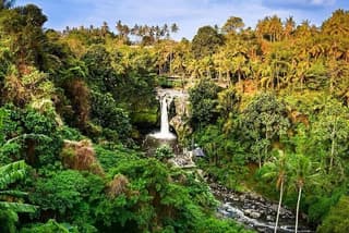 Bali Full-Day Private Tour: Waterfall, Volcano & Hot Springs
